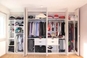 professional home organizing tips